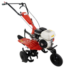 Motoenxada Honda GP160 c/ Oferta de Abre Regos e Rodas
