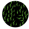 Função Mulching