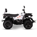 Moto 4 M210 EFI 2x4