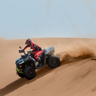 Moto 4 Segway ATV Snarler AT5 SE