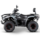 Moto 4 LINHAI ATV LH320 PROMAX EFI 4X4