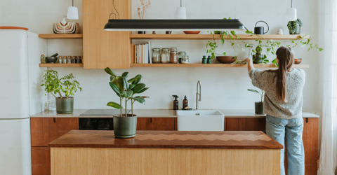 As 5 melhores espécies de plantas para ter dentro de casa
