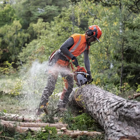 Motosserra Husqvarna profissional 550 XP® Mark II