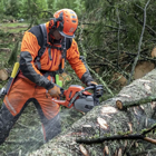 Motosserra Husqvarna profissional 550 XP® Mark II