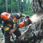 Motosserra Husqvarna profissional 550 XP® Mark II