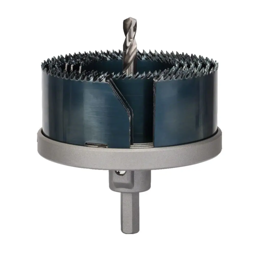 Conjunto 6 Serras Craneanas Bosch 46-81MM