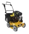 Escarificador Profissional BZS 38