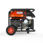 Gerador a Gasolina Aneto 230V 5500W
