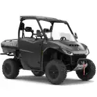Buggy Segway UTV Fugleman UT10