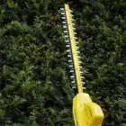 Corta Sebes Telescópico Stanley V20 4Ah 45cm