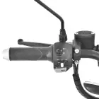 Scooter 800W Hecht Betis