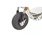 Scooter 3 000 W HECHT Terris