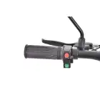 Scooter 3 000 W HECHT Terris