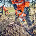 Husqvarna 542i XP® Cordless Chainsaw