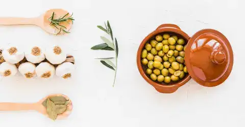 Cosechadoras de aceitunas: La tecnología que revoluciona la recolección de aceit