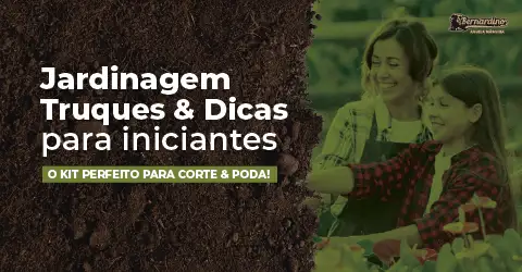 Jardinagem: Truques e Dicas Para Iniciantes