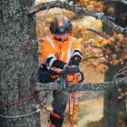 Motosierra de poda Husqvarna T435
