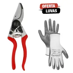 Tesoura de Poda Felco 9 c/ Oferta de Luvas T9, 100074, tesoura de poda, tesoura de poda eletrica, tesoura de podaa bateria, tesoura de poda elétrica lidl, tesoura de poda elétrica stihl, tesoura de poda profissional, tesoura de poda stihl, tesoura de poda felco, tesoura de poda bellota, tesoura de poda bateria, tesoura de poda elétrica makita, tesoura de poda elétrica bosch, tesoura de poda leroy merlin, tesoura de poda makita, tesoura de poda einhell, tesoura de poda arvore, tesoura de poda bosch, tesoura de poda pequena, tesoura de poda de jardim, tesoura de poda antiga, tesoura de poda husqvarna, tesoura de poda para galhos, tesoura de poda qual a melhor, melhor tesoura de poda
