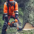 Husqvarna 564 XP Professional Chainsaw with Fuel Injection