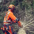 Husqvarna 564 XP Professional Chainsaw with Fuel Injection