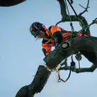 Motosserra Podador Profissional Husqvarna T540i XP