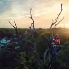 Motosserra Podador Profissional Husqvarna T540i XP