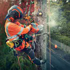 Motosserra Podador Profissional Husqvarna T540i XP
