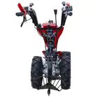Arrancador de Batatas Descentrável p/ Motocultivador 15HP/10D