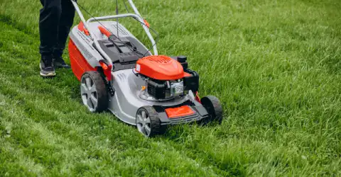 Como escolher o Corta Relvas ideal para o seu Jardim!
