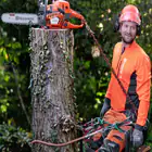 Husqvarna 545XP Mark II Chainsaw – PROFESSIONAL