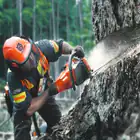 Husqvarna 545XP Mark II Chainsaw – PROFESSIONAL