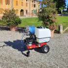 Pulverizador de tracción Eurosystems de 120 L con motor OHV RV170 Rato