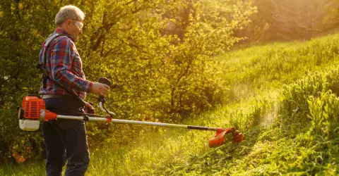 Brushcutters and their Accessories: Everything you need to know!