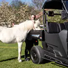 Buggy Linhai UTV LH 80DU 2x4 Elétrico