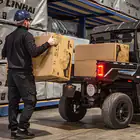 Buggy Linhai UTV LH 80DU 2x4 Elétrico
