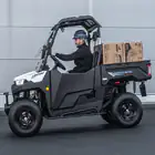Buggy Linhai UTV LH 80DU 2x4 Elétrico