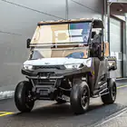 Buggy Linhai UTV LH 80DU 2x4 Elétrico