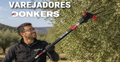 Minoristas: ¡Tecnología moderna en la cosecha de aceitunas!