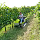 Briggs & Stratton Grillo Climber CL9.22 22HP Tractor/Brush Cutter