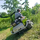 Briggs & Stratton Grillo Climber CL9.22 22HP Tractor/Brush Cutter