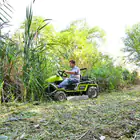 Briggs & Stratton Grillo Climber CL9.22 22HP Tractor/Brush Cutter