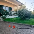 Aspersor de Rega/Chuveiro de Jardim Telescópico Hecht