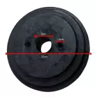 Par de pesos 50kg para Motocultivador