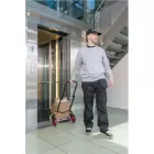 Carro Transporte Dobrável 80 Kg
