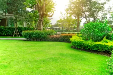 Como planear o seu futuro jardim?