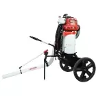 Aspirador Frutos Secos Cifarelli V1200E