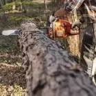 Husqvarna Motosserra 460 Rancher